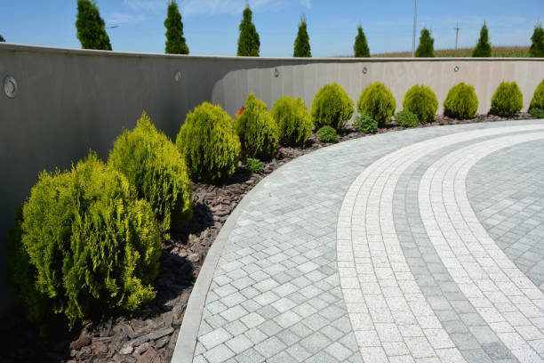 Best Custom Driveway Pavers  in Centerville, SC